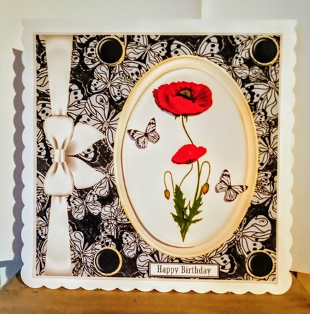 Black and red poppy card front by Jackie Odonnell
