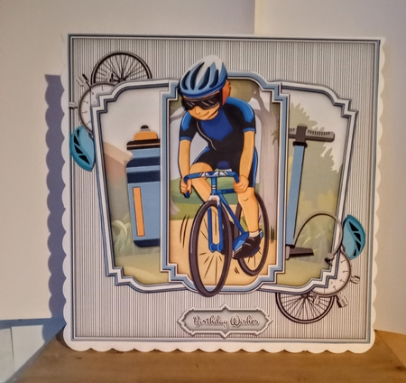 The Cyclist  by Jackie Odonnell
