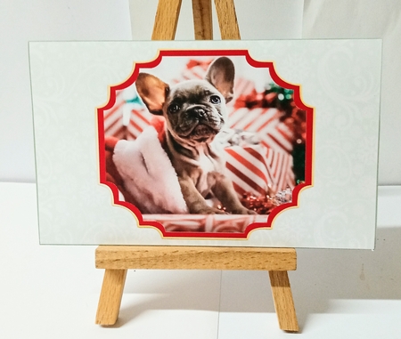 Christmas French Bulldog - Money Wallet by Jackie Odonnell