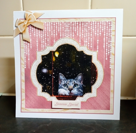 HERE KITTY KITTY ( Sweet Cat Watching Snow ) by Jackie Odonnell