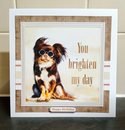Brighten by Jackie Odonnell