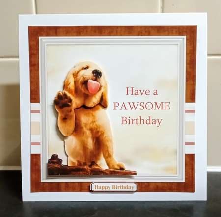 Pawsome by Jackie Odonnell