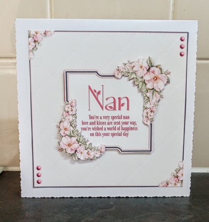 Nan by Jackie Odonnell
