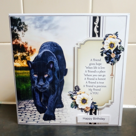The Panther by Jackie Odonnell