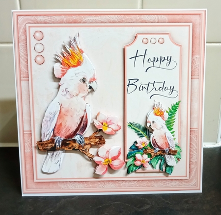 Cockatoo Birthday Mini Kit by Jackie Odonnell