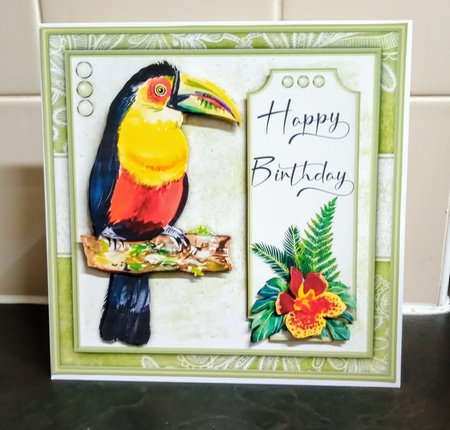 Toucan Birthday Mini Kit by Jackie Odonnell