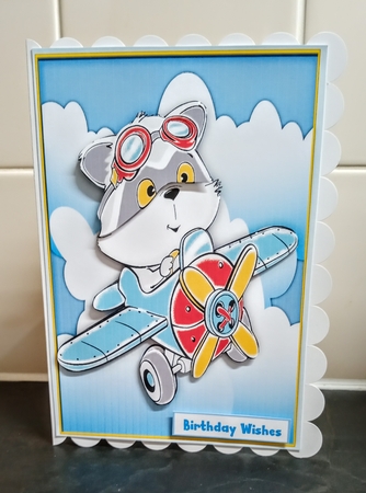 Cute Air Traveller by Jackie Odonnell