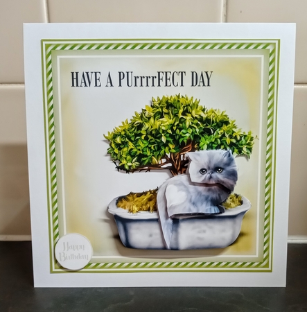 PUrrrFECT DAY by Jackie Odonnell