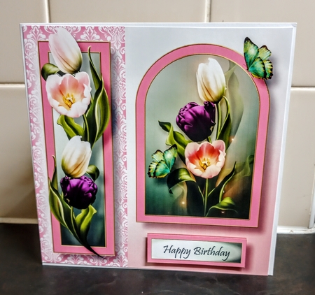 Floral Arched Frame - Tulips 8x8 by Jackie Odonnell