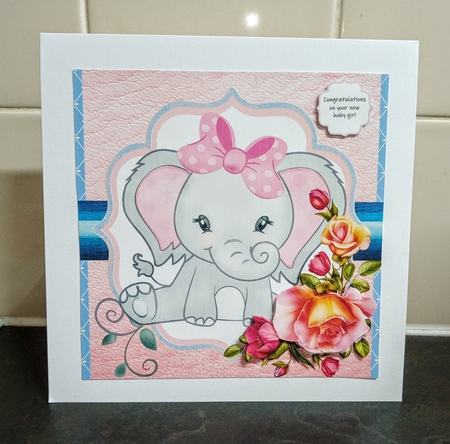 Baby girl elephant by Jackie Odonnell