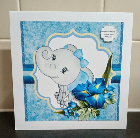 Baby boy elephant by Jackie Odonnell