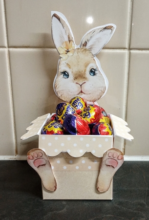 Little Spring Bunny #1 Treat Box, Card & Envelope Kit by Jackie Odonnell