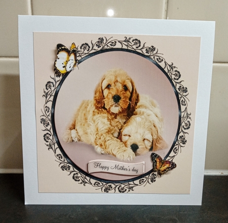 mums day by Jackie Odonnell