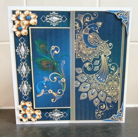 Touched by a Peacock 8 x 8 by Jackie Odonnell