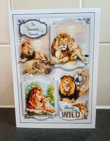 Born To Be Wild 08 Mini Page Kit  by Jackie Odonnell