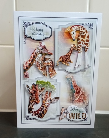 Born To Be Wild 09 Mini Page Kit by Jackie Odonnell