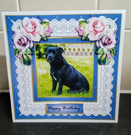 Black Staffie Mini Kit by Jackie Odonnell