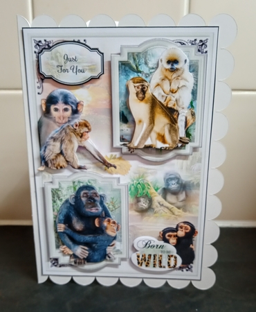 Born To Be Wild Bumper Kit 2 - Mini Page Kits by Jackie Odonnell