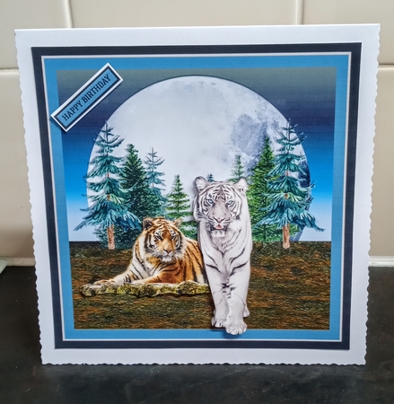 MOON TIGERS MINI KIT by Jackie Odonnell