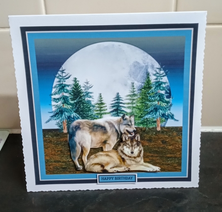 MOON WOLVES MINI KIT by Jackie Odonnell