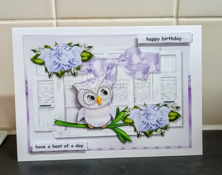 Cute Owl In Window by Jackie Odonnell