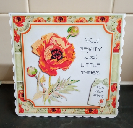 Poppy Mini Kit by Jackie Odonnell
