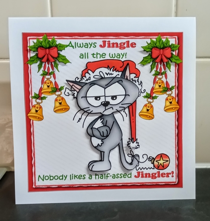 7x7 Grumpy old cat loves a Jingler  by Jackie Odonnell
