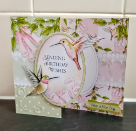 Hummingbird Fold Back Bundle by Jackie Odonnell