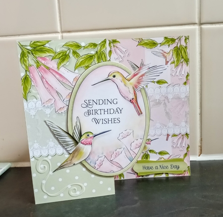Hummingbird Fold Back Bundle by Jackie Odonnell