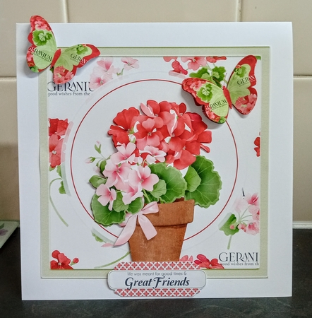 Geraniums and butterfly 7x7 by Jackie Odonnell