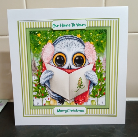Gorgeous Singing Owl by Jackie Odonnell