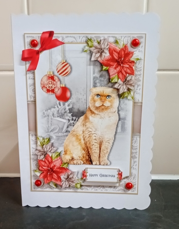 Cats and Poinsettias Mini Kit 6 by Jackie Odonnell