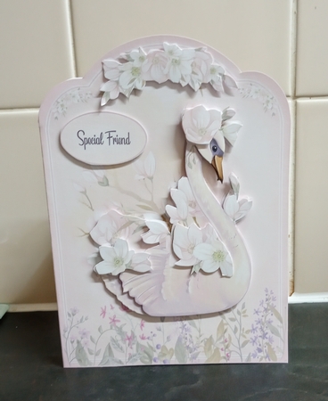 SWAN A5 Shaped Card BUNDLE by Jackie Odonnell