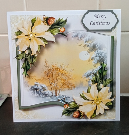 Open Book Scenic Christmas - Early Winter Morning by Jackie Odonnell
