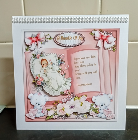 7x7 Mini Ki, Beautifu Baby Girl, By Request by Jackie Odonnell
