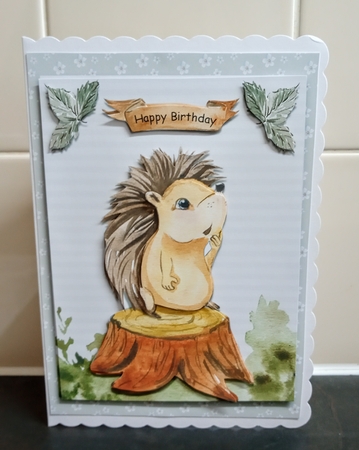 Hedge Hog 6x8  by Jackie Odonnell