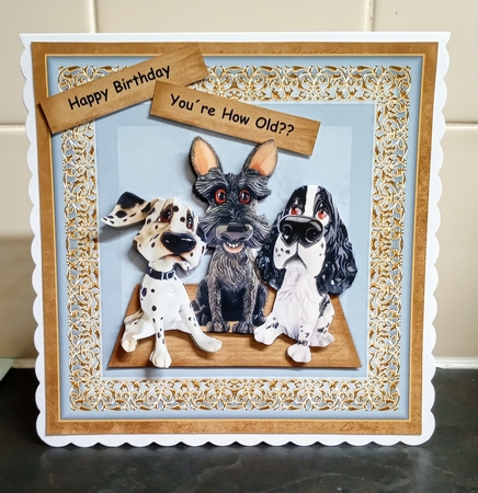 Male Card You´re How Old ? by Jackie Odonnell