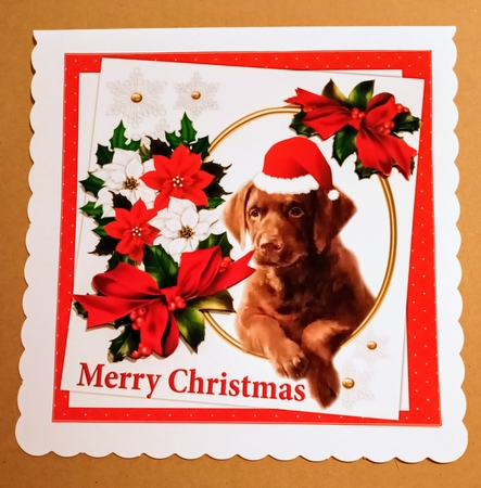 7x7 Chocolate Lab Christmas wishes by Jackie Odonnell