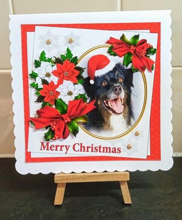 7x7 Collie dog Christmas wishes by Jackie Odonnell
