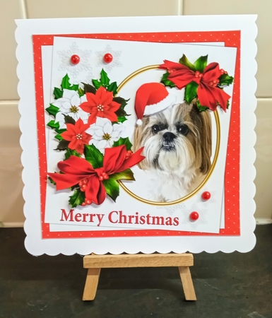 7x7 Shih Tzu Christmas wishes by Jackie Odonnell