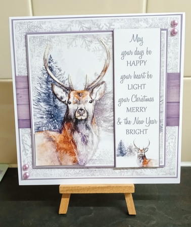 Stag 2 Mini Kit by Jackie Odonnell