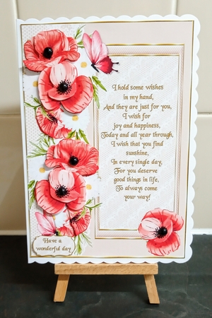 Poppies and wishes by Jackie Odonnell