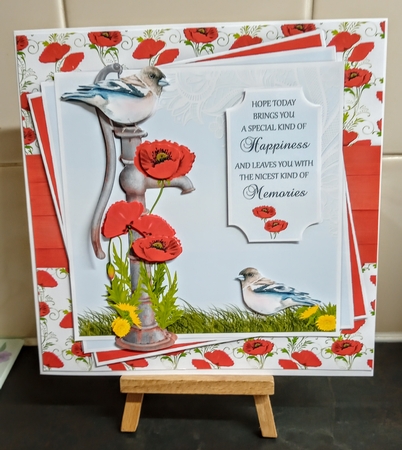 Red Poppy Water Pump Mini Kit by Jackie Odonnell