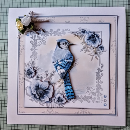 The Beautiful Blue Jay by Jackie Odonnell