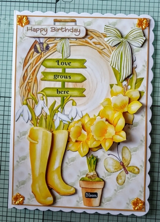 Love grows here A5 by Jackie Odonnell