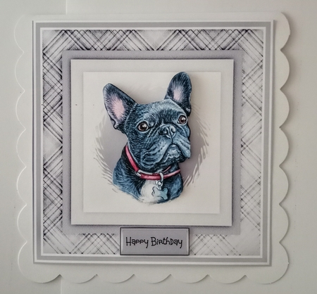 A Frenchie 7x7 card by Jackie Odonnell