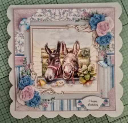 The Donkeys Bumper Mini Page Kits  by Jackie Odonnell