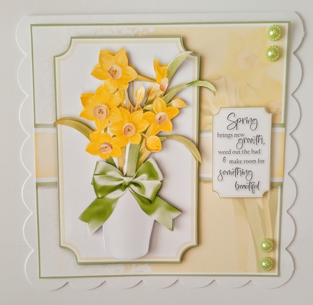 Daffodil Mini Kit by Jackie Odonnell