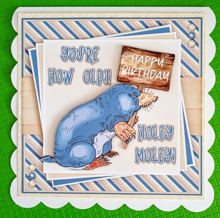 Holey Moley Mini Kit by Jackie Odonnell