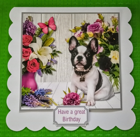 French Bulldog and Flowers by Jackie Odonnell